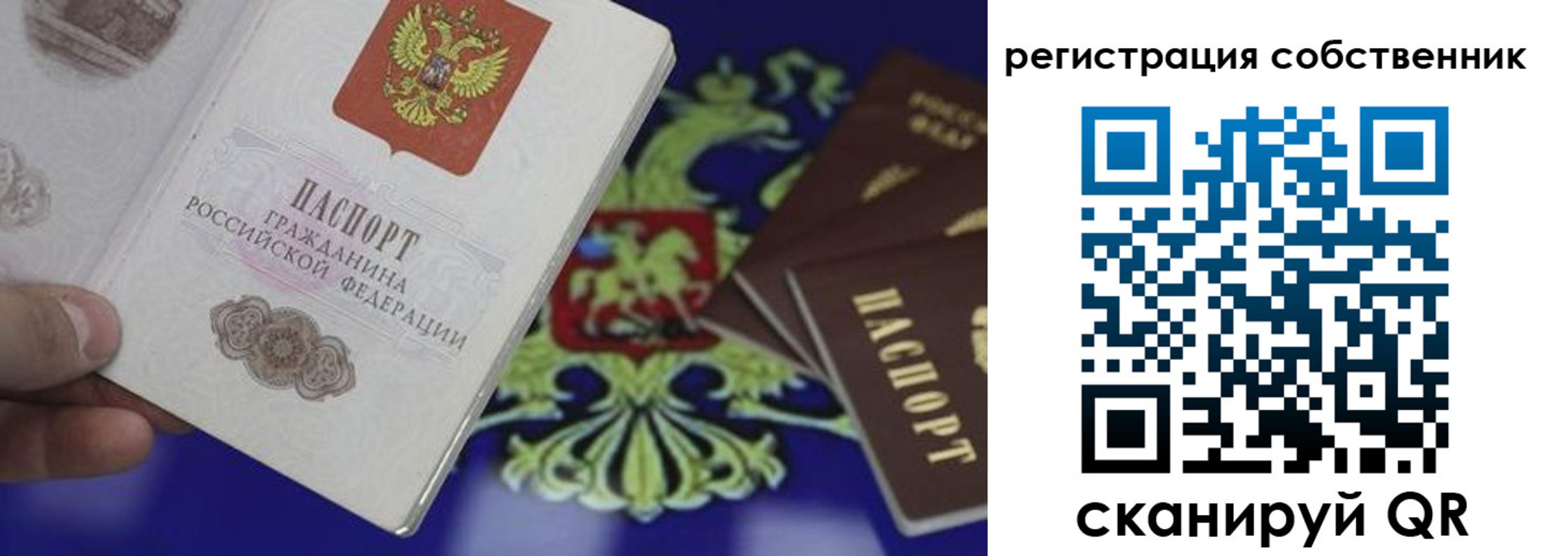 временная регистрация надежно в Гусеве